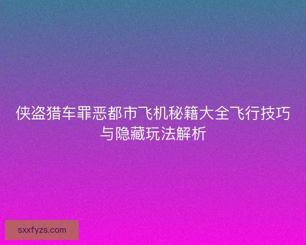 侠盗猎车罪恶都市飞机秘籍大全飞行技巧与隐藏玩法解析