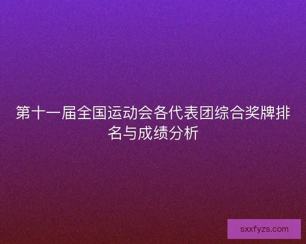 第十一届全国运动会各代表团综合奖牌排名与成绩分析