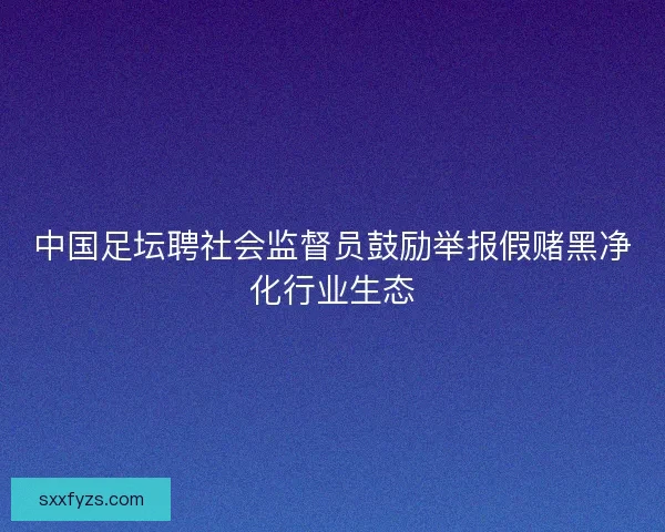 中国足坛聘社会监督员鼓励举报假赌黑净化行业生态